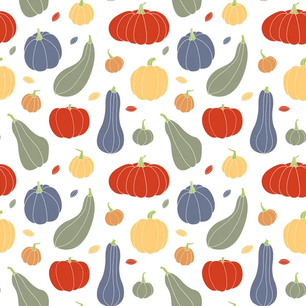 Pompoen Pompoen Courgette Merg Diverse Vormen Kleuren Perfect Voor Herfst — Stockvector