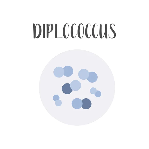 Diplococo Clasificación Bacteriana Formas Esféricas Bacterias Cocos Tipos Diferentes Formas — Vector de stock
