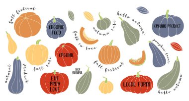 Balkabağı, kabak, kabak, kemik iliği. Değişik şekiller ve renkler. Sonbahar dekoratif tasarımı, Şükran Günü ve Cadılar Bayramı davetiyesi, hasat broşürü, logo için mükemmel. Vektör düz resimleme