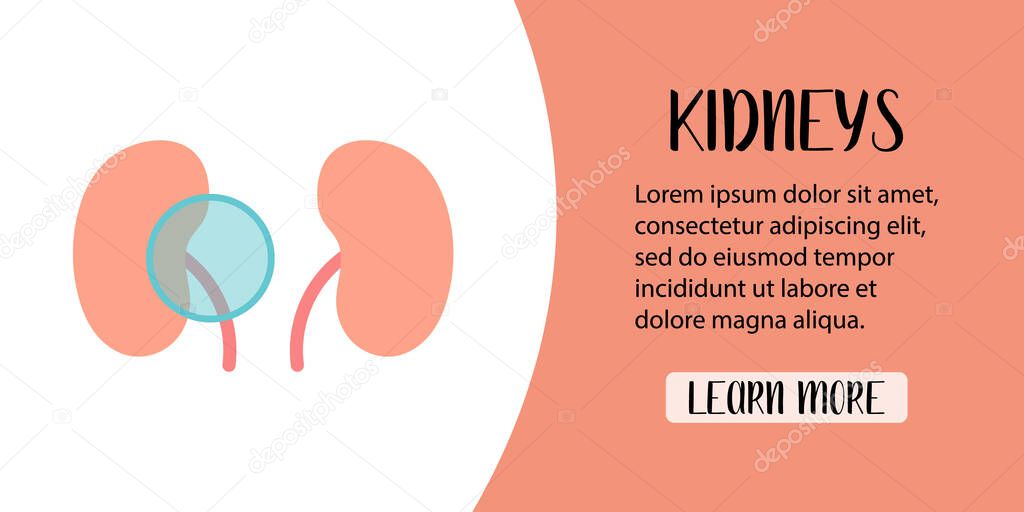 Human kidneys diagnostics. Kidney  and ureteral stones, renal failure, urinary tract obstruction, chronic disease, cancer. Vector flat illustration. Perfect for banner, landing page