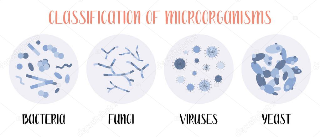 Classification of microorganisms: bacteria, fungi, viruses, yeast. Microbiology. Vector flat illustration
