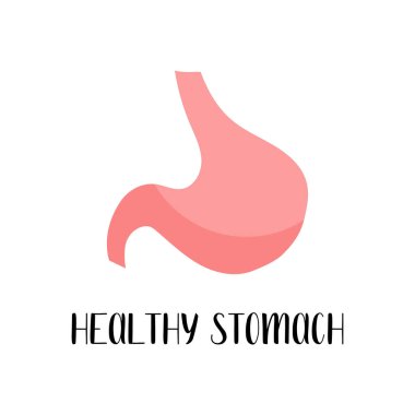 Sağlıklı mide. Gastroenteroloji. Vektör düz çizim. Broşür, pankart, iniş sayfası ve web sitesi için mükemmel.