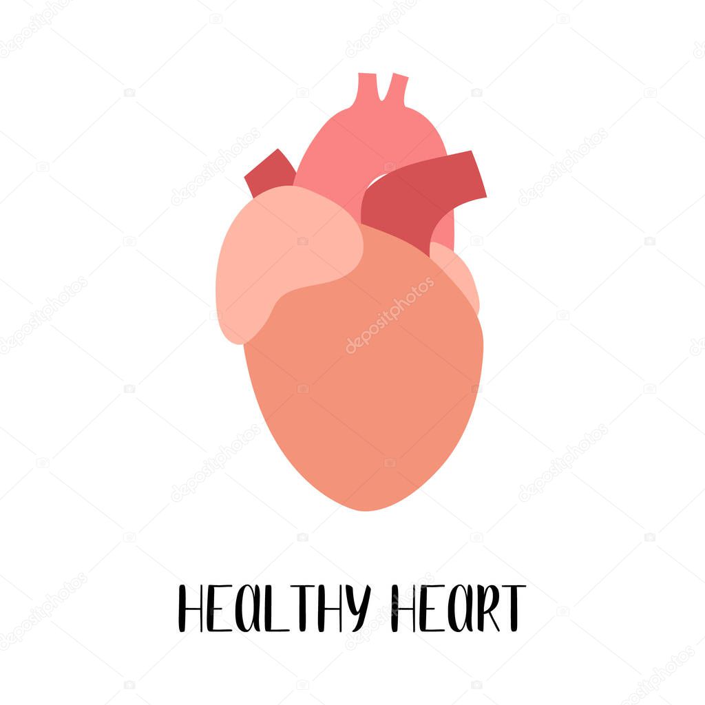 Healthy heart, cardiovascular system. Cardiology. Vector flat illustration. For flyer, medical brochure, banner, landing page, web