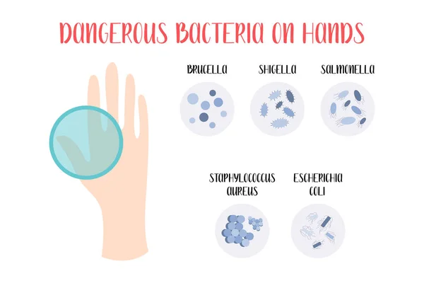 Bakteri Berbahaya Tangan Brucella Shigella Salmonella Staphylococcus Aureus Escherichia Coli - Stok Vektor