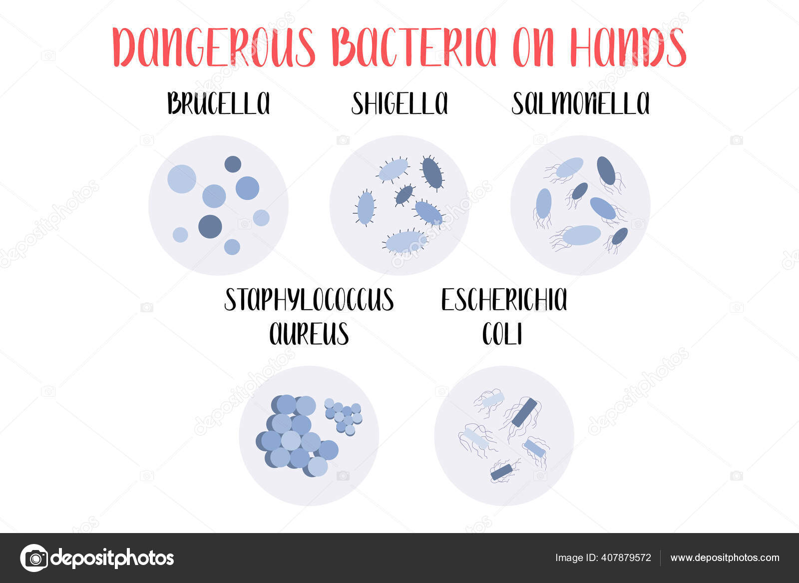 Bacterias Peligrosas Las Manos Brucella Shigella Salmonella