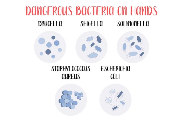 Bacterias Peligrosas Las Manos Brucella Shigella Salmonella Staphylococcus Aureus Escherichia — Vector de stock