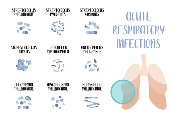 Infecciones Respiratorias Agudas Bacterias Patógenas Cocos Bacilos Morfología Microbiología Ilustración — Vector de stock