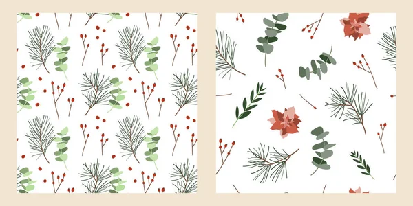 Set Van Naadloze Patronen Eucalyptus Bessen Sparren Poinsettia Winter Illustratie — Stockvector