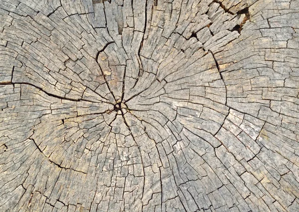 Plaats Van Oude Hout Zaag Een Gedessineerde Patroon Achtergrond — Stockfoto