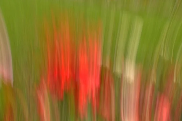 Abstração Floral Com Efeito Borrão Tons Fundo Vermelho Verde — Fotografia de Stock