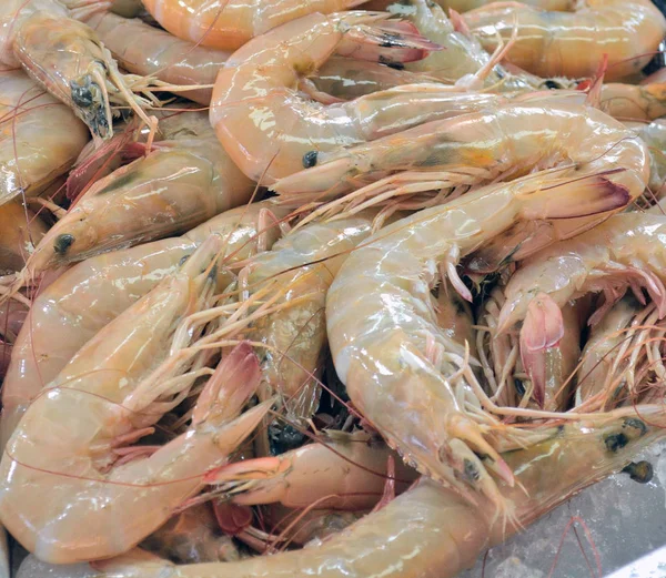 Camarones Frescos Grandes Que Yacen Puesto Que Vende Mercado Pescado —  Fotos de Stock