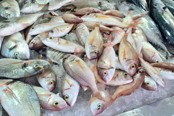 Pescado Dorado Fresco Encuentra Puesto Vende Mercado Pescado —  Fotos de Stock