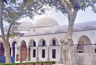 Kubbe ve duvarları Istanbul, Türkiye, St. Irene Tapınağı üzerinde büyük yaşlı ağaçlar büyümek