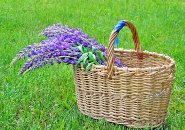 Bahçedeki çimlerin üzerinde orman çiçekleriyle dolu bir hasır sepet duruyor.