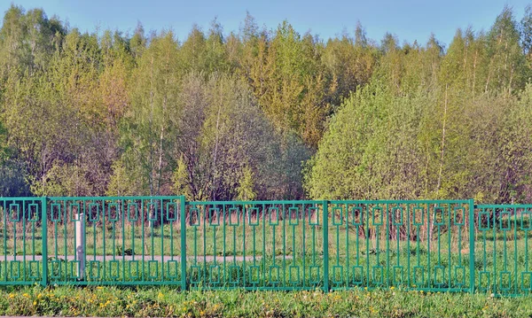 Terreno Cubierto Bosque Vallado Para Construcción — Foto de Stock