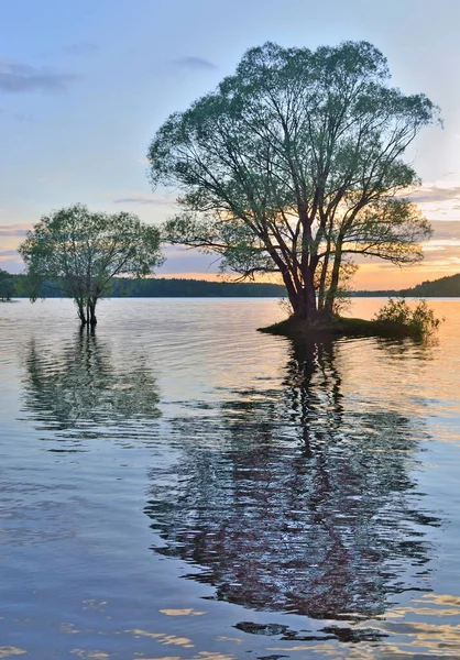 Güneş Ufuktan Batar Nehri Sahili Aydınlatır — Stok fotoğraf