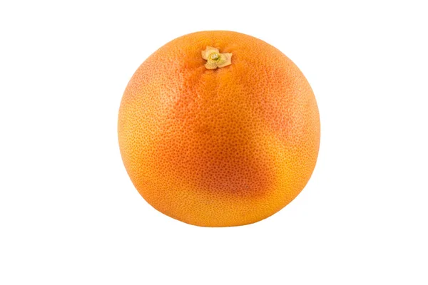 One Whole Grapefruit White Background — Stock Photo, Image