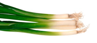 İzolasyonda beyaz zemin üzerinde yeşil soğan