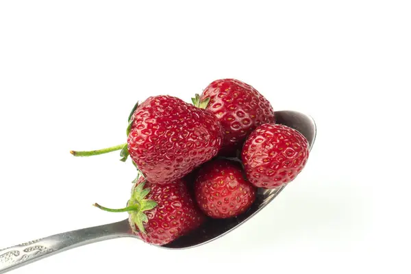 一勺白底草莓 — 图库照片
