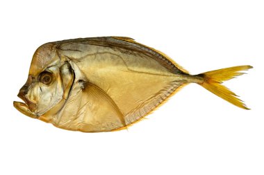 Bir tütsülenmiş vomer balığı, izole edilmiş beyaz bir tabakta.