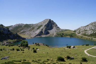 Asturias'taki Covadonga Gölü, bahar yürüyüşü