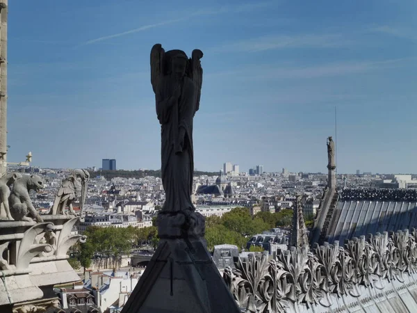 Vue Sur Paris Depuis Les Gondoles Notre Damme — Photo