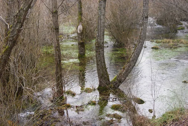 テルエル川クエルボ誕生 寒い冬の日 — ストック写真