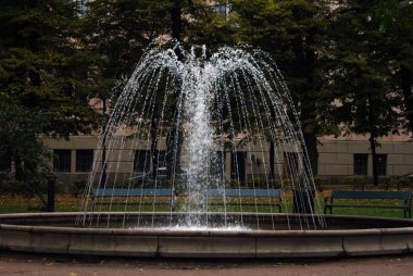 sonbaharda oslo ve körfez adaları ile yürümek