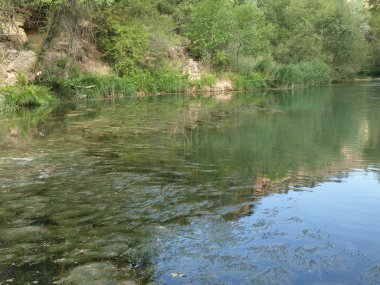 Trillo kasabasında Tjo nehir kıyısı boyunca yürümek ve çevreleyen nehir ormanlarında
