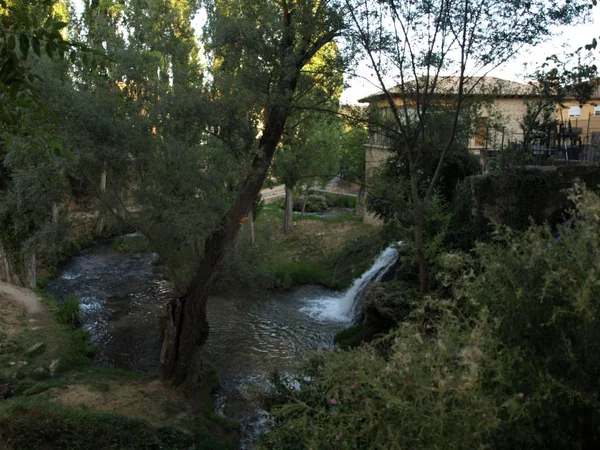 Paseo Por Ribera Del Río Tjo Pueblo Trillo Los Bosques — Foto de Stock