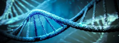 DNA - Biologie - Forschung - Technologie