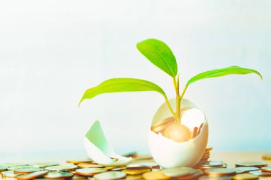 Hatched egg and coins with small plant tree. Pension fund, 401K, Strategies and plan for passive income. Saving money and investment. Risk management for business growth. Manage money in retirement. clipart