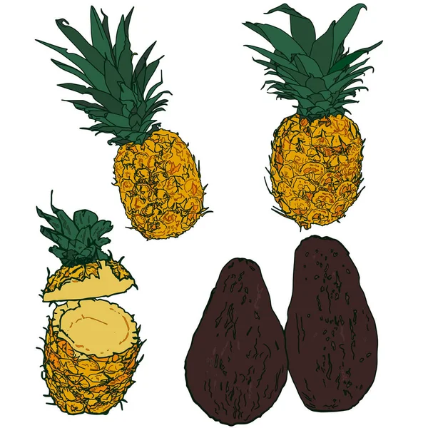 Illustrazione Vettoriale Insieme Frutti Tropicali Fetta Ananas Ananas Avocado Isolato — Vettoriale Stock