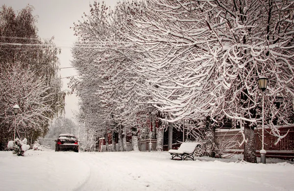 Winter street with trees in the snow and cars in the frost