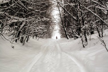 Karla kaplı ormanda bir adamın olduğu kış yolu.