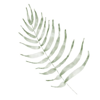 Boho 'nun iç kısımlarında çeşitli saksı bitkileri var. Bahçe işleri dergileri, çiçekçi ya da ev posteri için harika. resimleme.