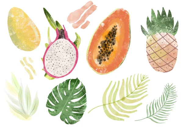 Egzotyczne owoce. Soczyste i dojrzałe owoce: papaja, guawa, kreskówka z mango. Naturalna organiczność. Izolowana ilustracja na białym tle — Zdjęcie stockowe