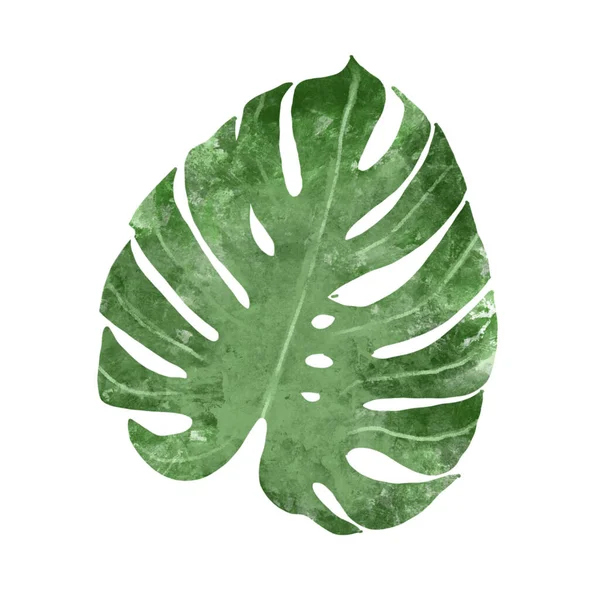 水彩画の熱帯植物のセット. — ストック写真