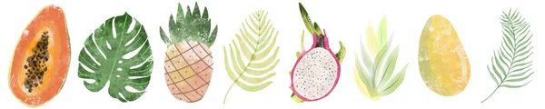 Exotické ovoce. Šťavnaté a zralé ovoce: papája, guava, mango karikatura. Přirozeně. Izolovaná ilustrace na bílém pozadí — Stock fotografie