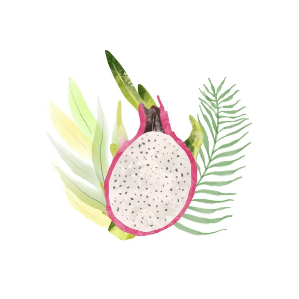 Summer tropical fruits for healthy lifestyle. Red dragon fruit, whole fruit and half. illustration cartoon flat icon isolated on white.