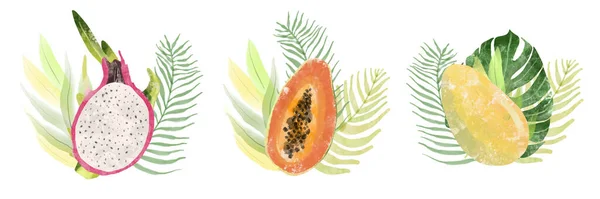Colección de frutas tropicales exóticas. Set de frutas acuarela. Ilustración de frutas botánicas tropicales . — Foto de Stock