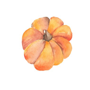 Beyaz arkaplanda suluboya balkabağı