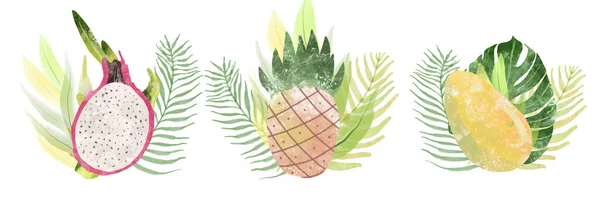 Ručně kreslené akvarel ilustrace různých exotických tropických druhů ovoce izolovaných na bílém pozadí — Stock fotografie