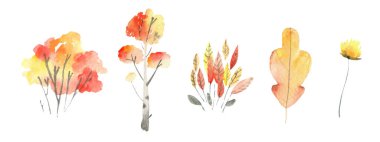 Merhaba Autumn. Suluboya arka plan Merhaba Autumn. Suluboya elementleri koleksiyonu - balkabağı, içecek, paket, kahve, ağaç çalılığına gitmek için