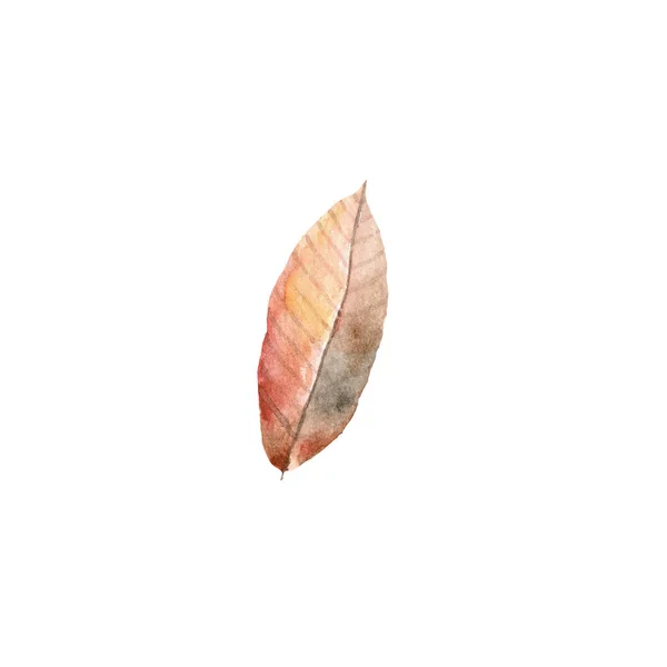 Jesień zostawia akwarelę na białym tle. Ilustracja jesień — Zdjęcie stockowe