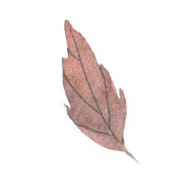 Sulu sonbahar yaprağı seti. resimleme