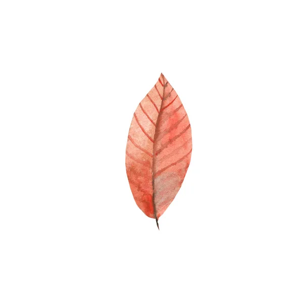 Set foglia autunno acquerello. illustrazione — Foto Stock