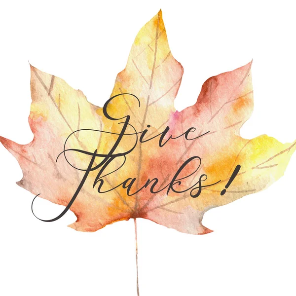 Симпатичная винтажная открытка на День Благодарения осенью с листьями и сосновыми шишками. — стоковое фото