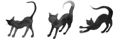 Sarı gözlü 14 siyah kedi.