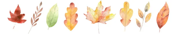 Набор иллюстраций осенних листьев в акварельных цветах — стоковое фото